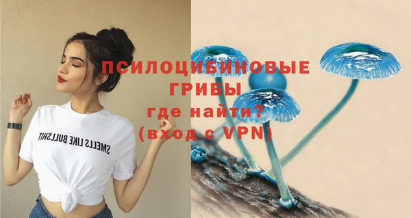 соль курить ск Надым