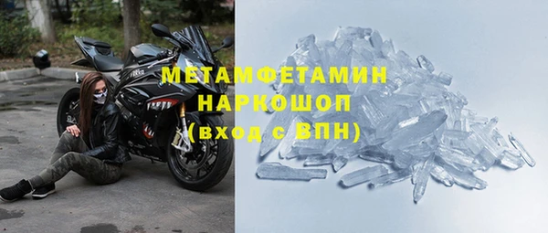 прущие грибы Горнозаводск