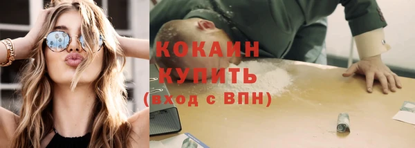 прущие грибы Горнозаводск