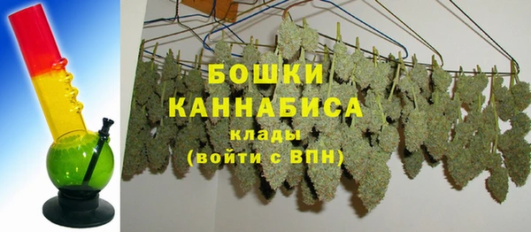 прущие грибы Горнозаводск
