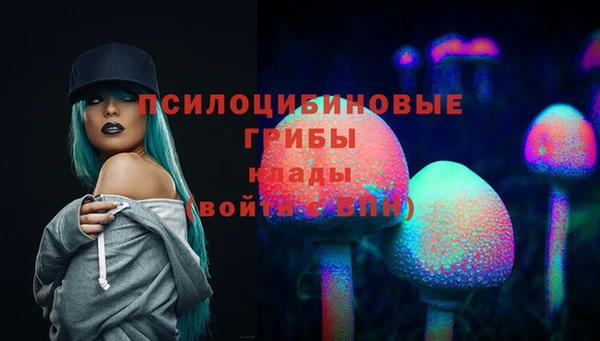 амф Горно-Алтайск