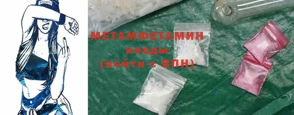 прущие грибы Горнозаводск